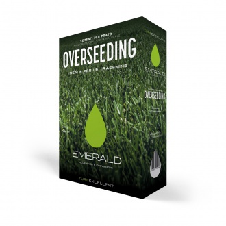 OVERSEEDING