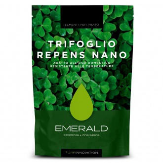 TRIFOGLIO REPENS NANO